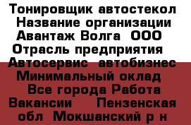 Тонировщик автостекол › Название организации ­ Авантаж-Волга, ООО › Отрасль предприятия ­ Автосервис, автобизнес › Минимальный оклад ­ 1 - Все города Работа » Вакансии   . Пензенская обл.,Мокшанский р-н